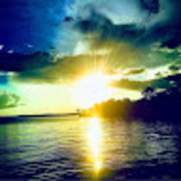 neecsokolosky